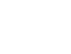 Avatar of the organization