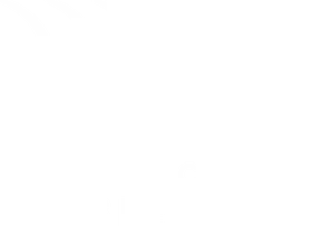 Avatar de l'organisation