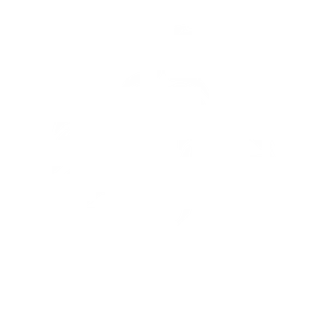 Avatar of the organization