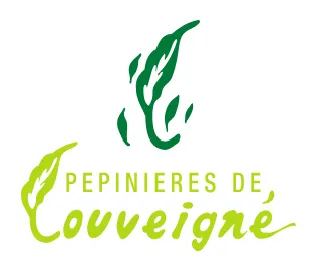 Image de galerie n°1