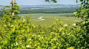 Champagne de Barfontarc