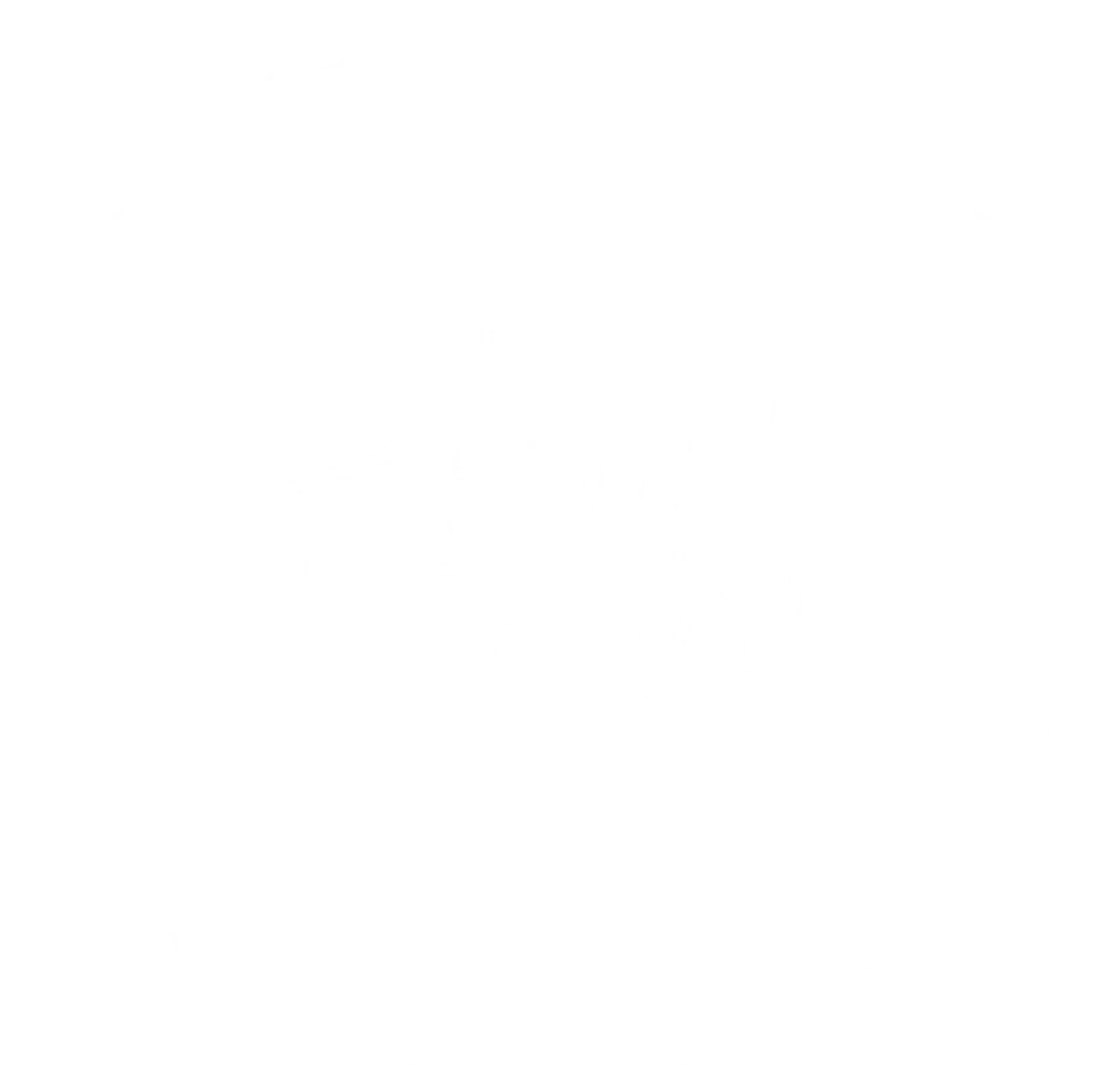 Gallery image no.12