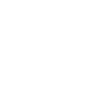 Gallery image no.12
