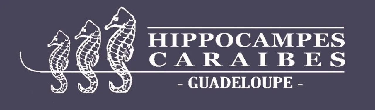 Image de galerie n°18