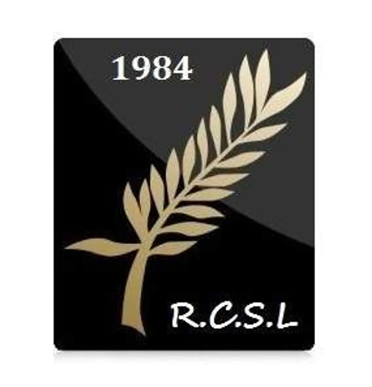 Image de galerie n°22