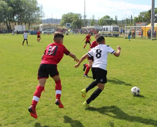 Image de galerie n°1