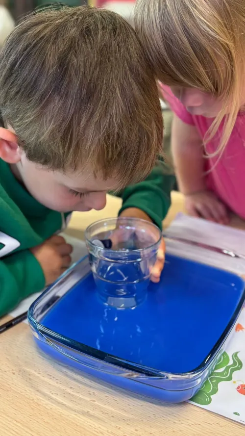 Image de galerie n°2