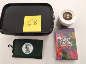 Lot 68