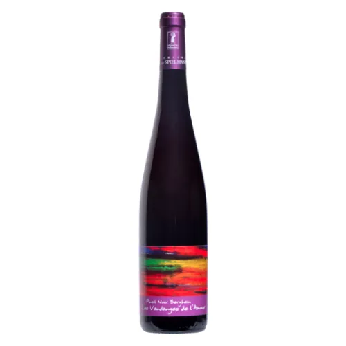 Magnum Pinot Noir 2018 Alsace, Sylvie Spielmann