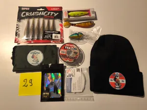 Lot 29