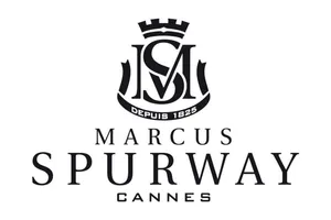 Lot découverte parfum d'interieur Marcus Spurway