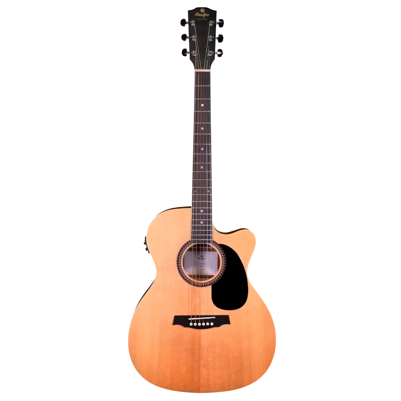 Guitare électro-acoustique PRODIPE