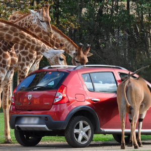 Entrée Enfant pour la saison 2022 au Parc animalier Planète Sauvage