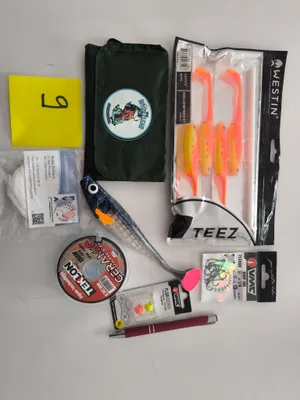 Lot 9