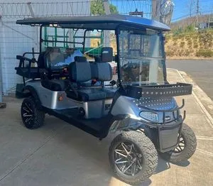 6-seater electric cart