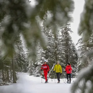 1 sortie Raquettes 1/2 journée