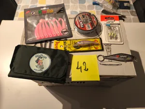 Lot 42