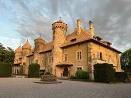 1 entrée au CHATEAU DE RIPAILLE