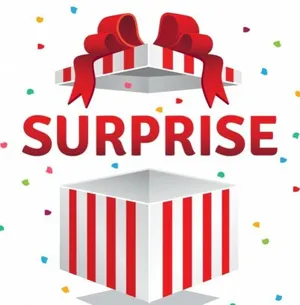 Boite surprise contenant des objets apportés par les professeurs et les élèves