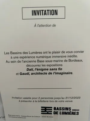 Une entrée au Bassin des lumières expo Dali/Gaudi pour 2 personnes