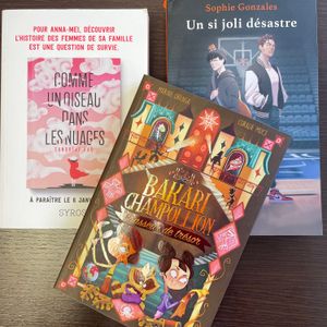 Lot de 3 livres jeunesse