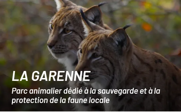 2 entrées enfant ZOO DE LA GARENNE 