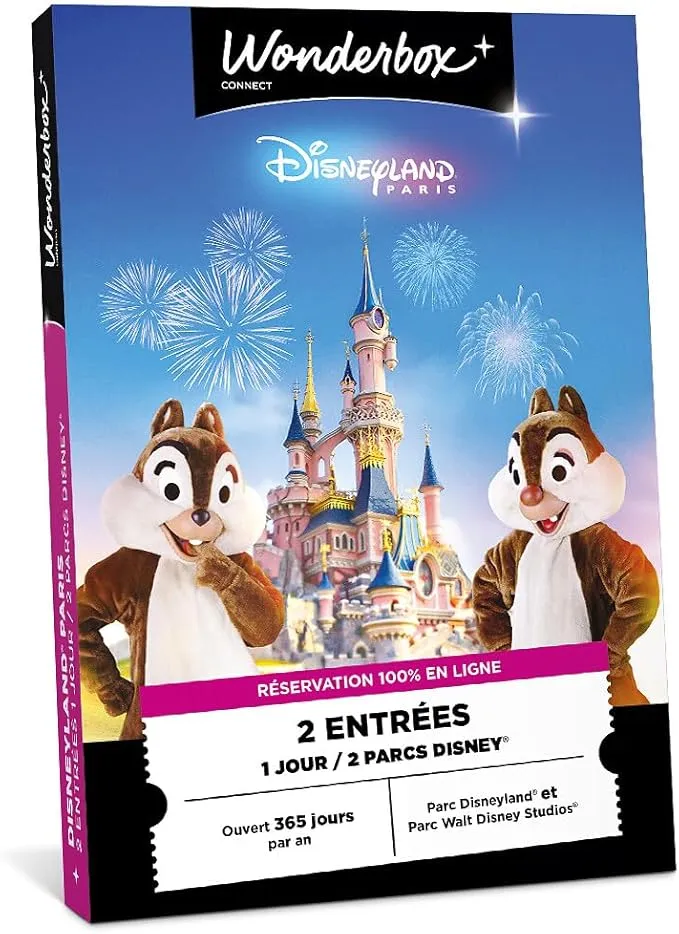 Wonderbox Disneyland Paris