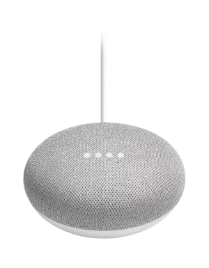 Google Nest Mini